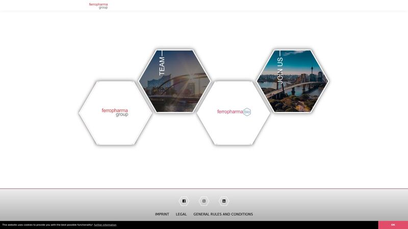 Bildschirmfoto des Projekts „ferropharma group“