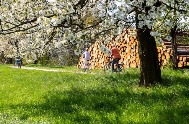 Touristische Gebietsgemeinschaft Westlausitz e.V.